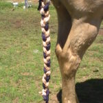 Lycra Tail Wraps